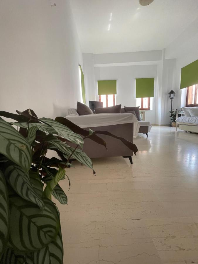 Aphaias Apartments Aegina Exterior foto